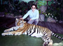 thailand - nice kitty.jpg